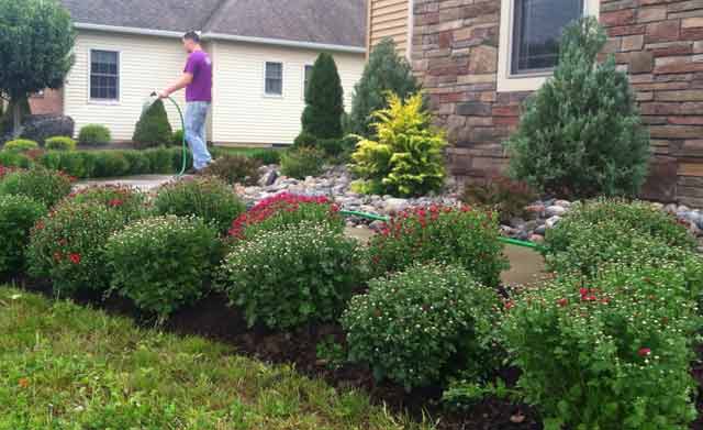 Proper landscaping around french drains