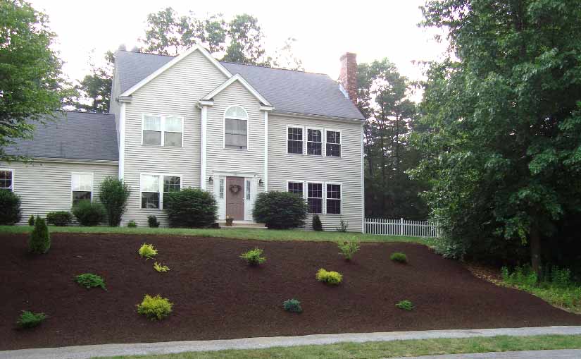 Maound system in front yard